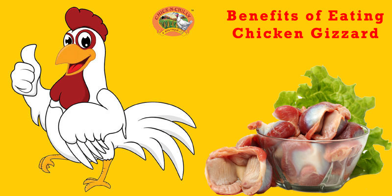 Benefits Chicken Gizzard